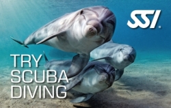 Program SSI Try Scuba Diving